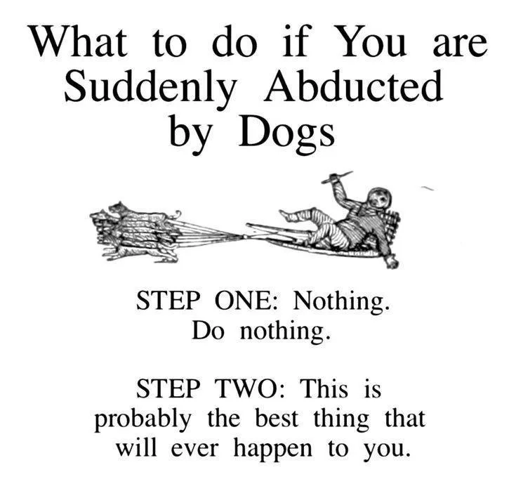 A black-and-white illustration shows a person being pulled away on a sled by a pack of dogs, with overlaid text titled 'What…