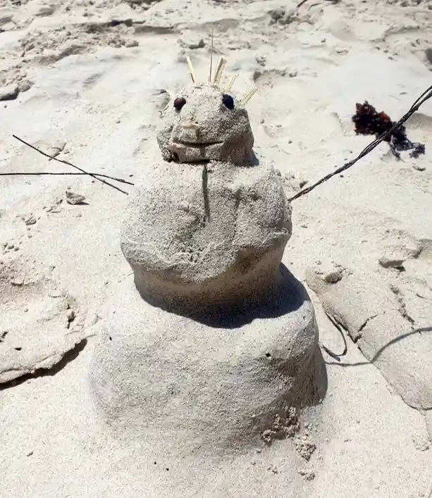 Merry Christmas from the Beautiful Western Australia!
