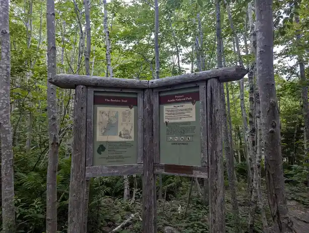 A wooden trail sign in a dense forest with birch trees, displaying a map and park rules for 'The Beehive Trail' and 'Protect…