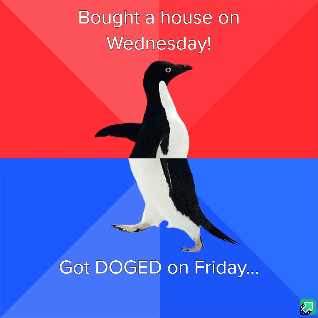 A penguin walks across a split background of red and blue, with white text above reading 'Bought a house on Wednesday!' and…