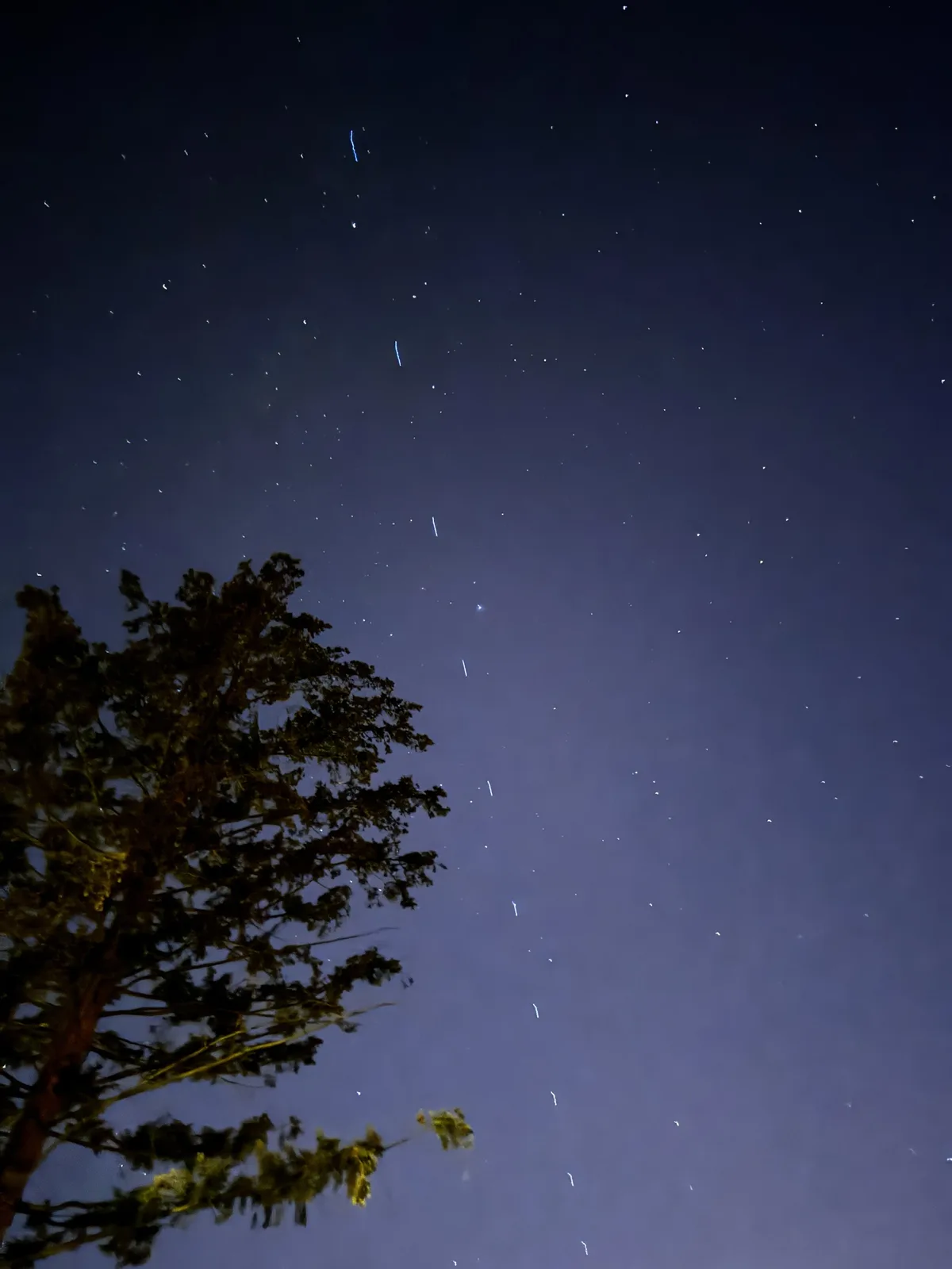 A long-exposure night sky photo shows stars and streaks of light against a dark blue sky, with the silhouette of a tree on…