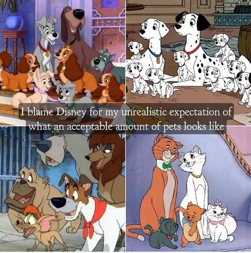 A four-panel collage of Disney animated pet scenes: 'Lady and the Tramp' dogs, '101 Dalmatians' pups, '101 Dalmatians' pups…