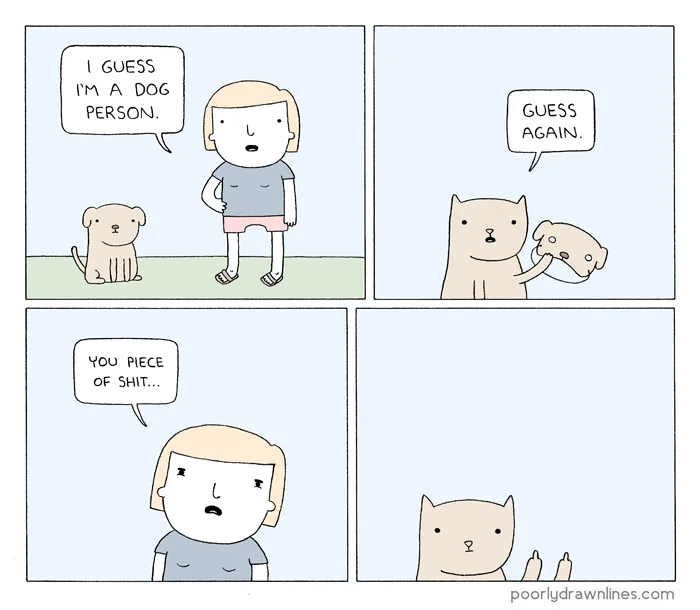 The Unfortunate Reality of Pet Abandonment