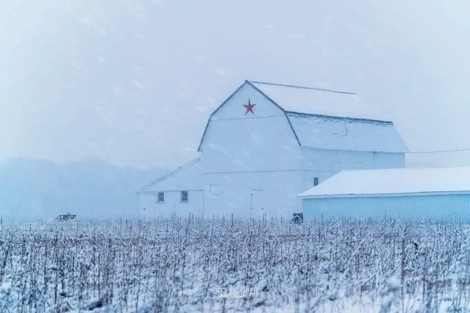 The Classic Barn Vibe