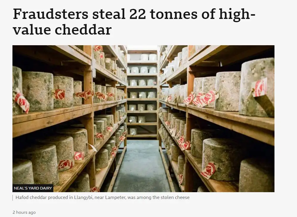 An image shows rows of large, cylindrical wheels of cheese stored on wooden shelves in a warehouse. Each wheel has a red and…
