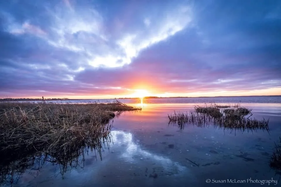 A serene sunset over a marshy wetland with vibrant orange and purple clouds reflecting in calm water, dry reeds in the…