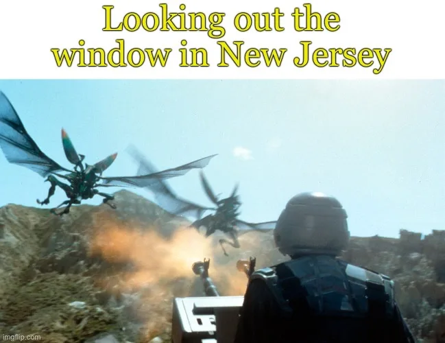 Wait, They Can Fly Now?