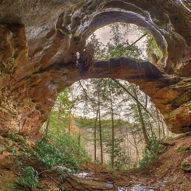 A natural rock archway in a forest, with mossy brown rock formations framing a view of tall trees and a cloudy sky. The…