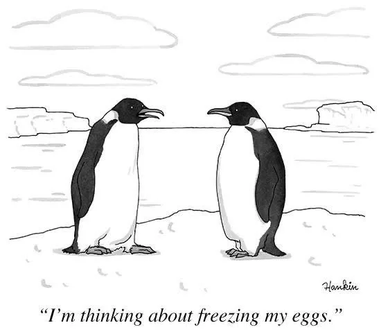 Two penguins stand facing each other on a snowy landscape with icebergs in the background. One penguin is speaking, with its…
