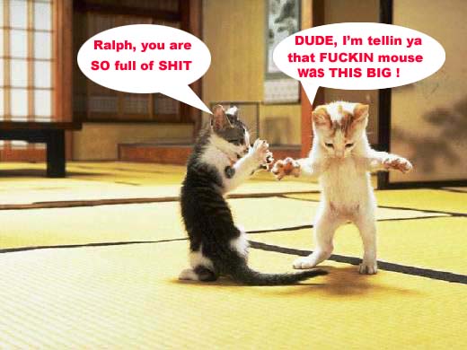 Two kittens stand on a tatami mat in a Japanese-style room, facing each other with paws raised as if arguing. The…