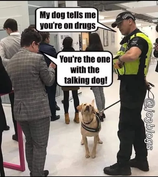 A police officer in uniform stands beside a yellow Labrador wearing a harness, holding its leash. The dog is looking up at…