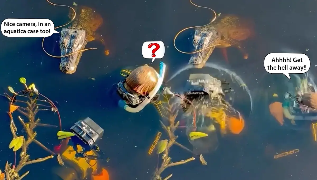 A scuba diver in a clear underwater housing is surrounded by two alligators emerging from the water, with speech bubbles…