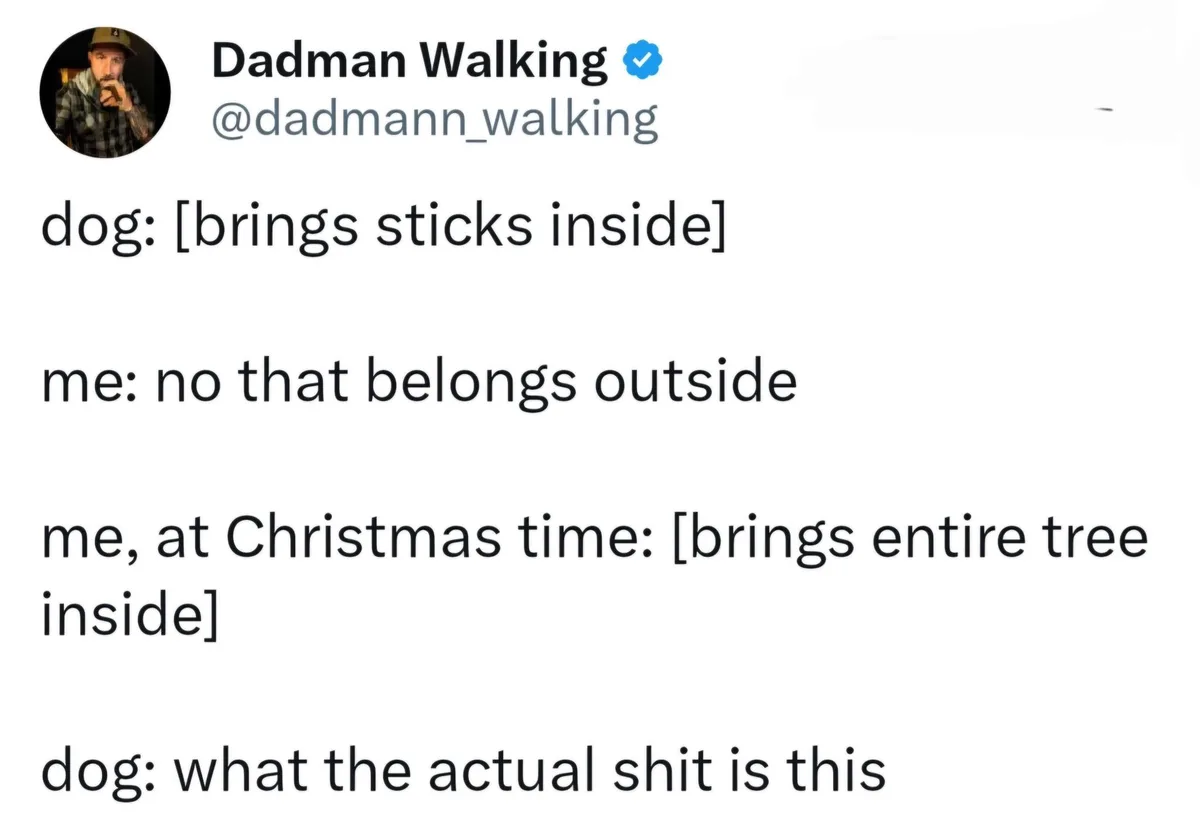 A screenshot of a tweet by 'Dadman Walking' showing four lines of text. The text describes a dog bringing sticks inside, the…