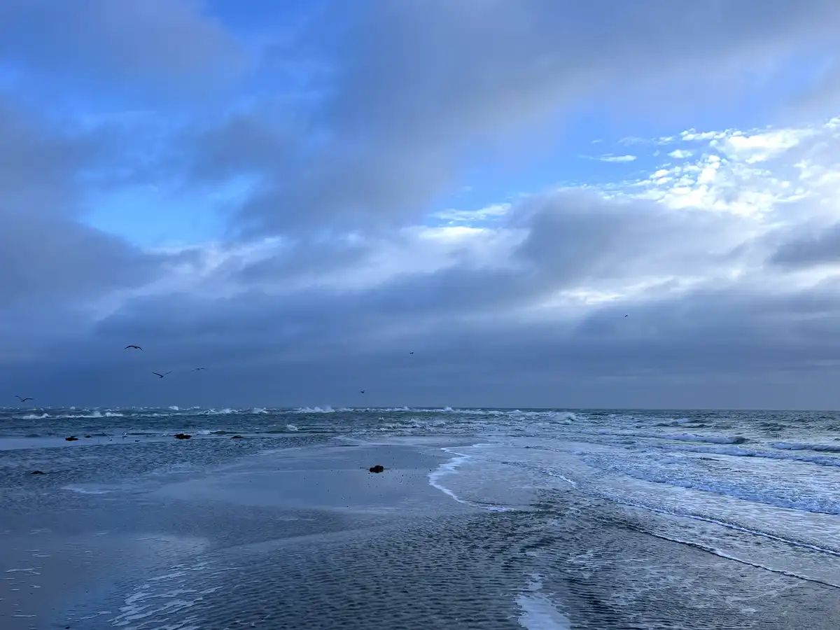 A serene beach scene with waves rolling onto wet sand under a cloudy blue sky, with several birds flying overhead. The…