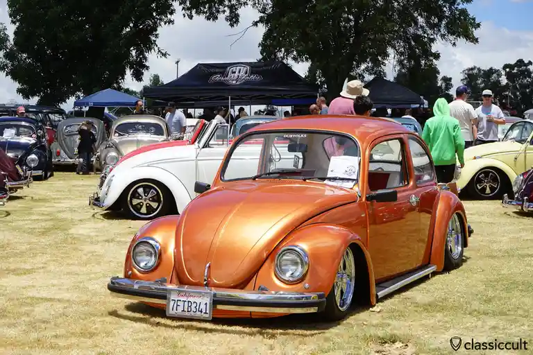 A shiny orange classic Volkswagen Beetle is parked at a car show on dry grass, with other vintage cars and people in the…