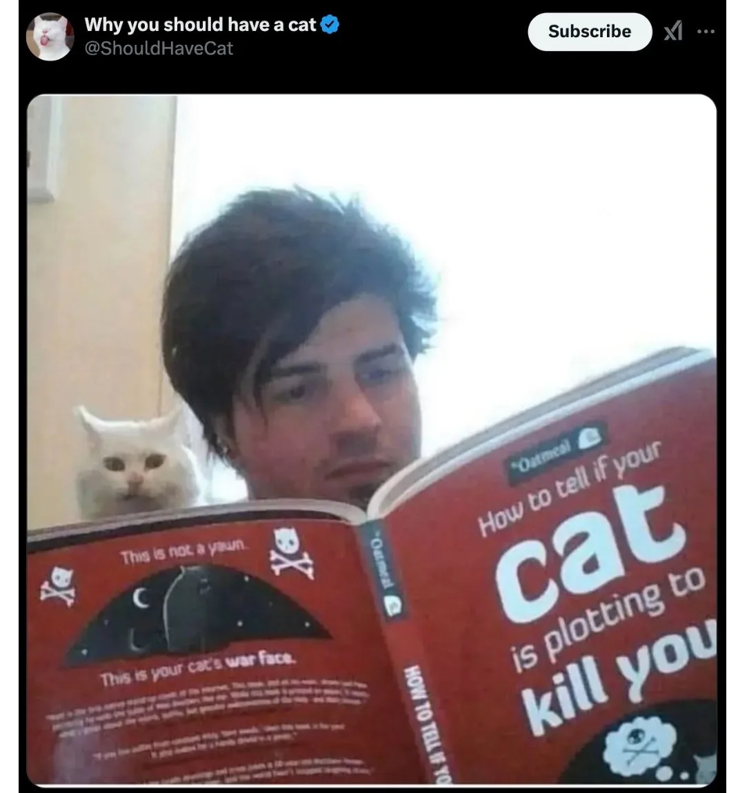 A man with dark hair is reading a red book titled 'How to tell if your cat is plotting to kill you' by Oatmeal. Behind him…