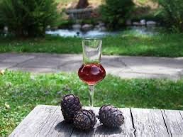 a glass of red wine sits on a weathered wooden table outdoors, accompanied by three pinecones. The background shows a…