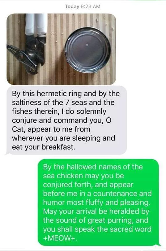 A screenshot of a text conversation shows a canned food can and can opener on a wooden surface. The first message, in a gray…