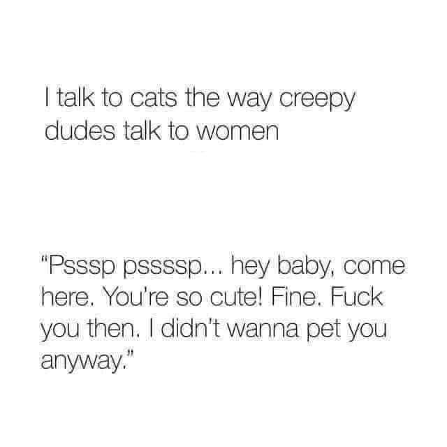 A plain white background with black text in two blocks. The top block reads 'I talk to cats the way creepy dudes talk to…