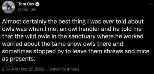 A screenshot of a tweet by Tom Cox, showing a black background with white text. The text is a humorous anecdote about owls…