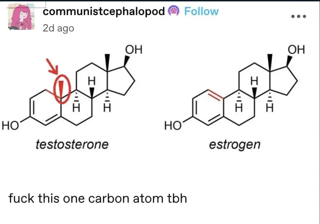 The image displays two chemical structures side-by-side: testosterone on the left and estrogen on the right. A red circle…
