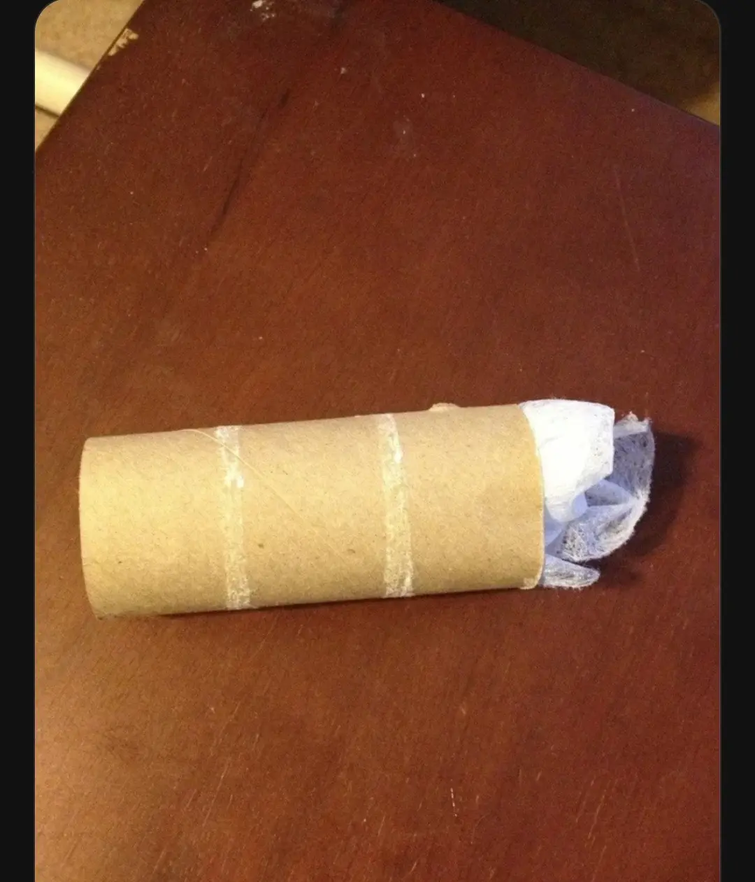 A brown cardboard toilet paper roll, taped with white adhesive tape, has a crumpled white diaper shoved into one end…