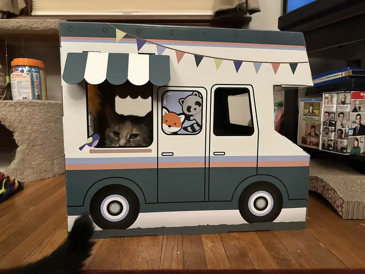 A real cat peeks out from the service window of a cardboard food truck playset, which also features cartoon animal decals on…