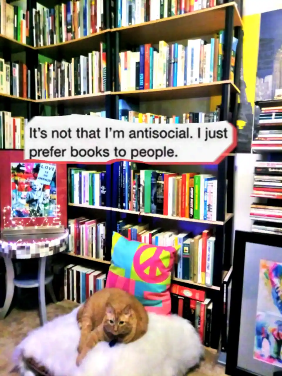 An orange cat lounges on a fluffy white cushion in front of a large, densely packed bookshelf filled with colorful books. A…