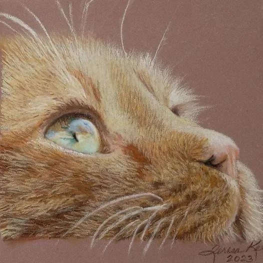A detailed colored pencil drawing of a ginger cat's face in profile, looking upward with a soulful, weary expression. The…