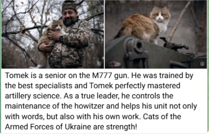 The image is a two-panel meme. Left panel: a smiling man in camouflage uniform holding a cat. Right panel: the same cat…