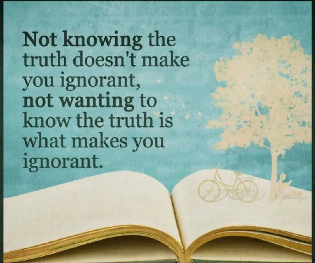 An open book with a light blue textured background, featuring a stylized illustration of a tree and a bicycle on the right…