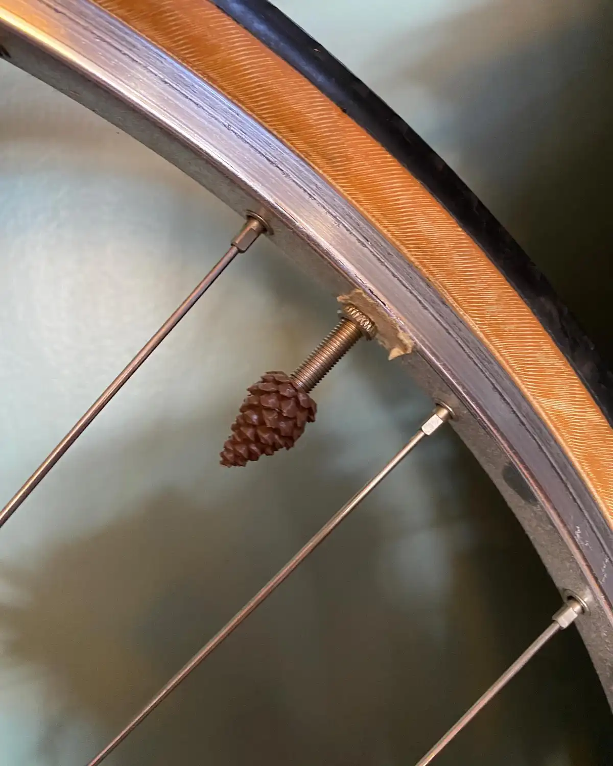 A close-up photo shows a small pinecone screwed onto a spoke of a bicycle wheel, which has a metallic rim and thin spokes…