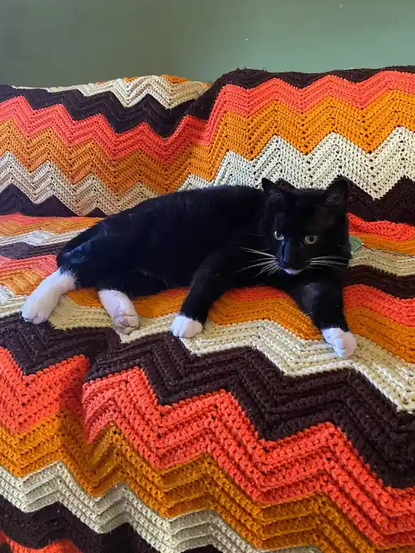 A black cat with white paws lounges on a colorful, zigzag-patterned crocheted blanket featuring orange, brown, and cream…