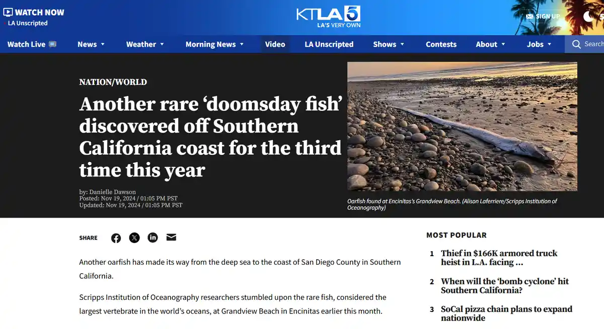 A screenshot of a KTLA 5 news article shows a large, dead oarfish washed up on a pebbled beach at sunset. The headline reads…