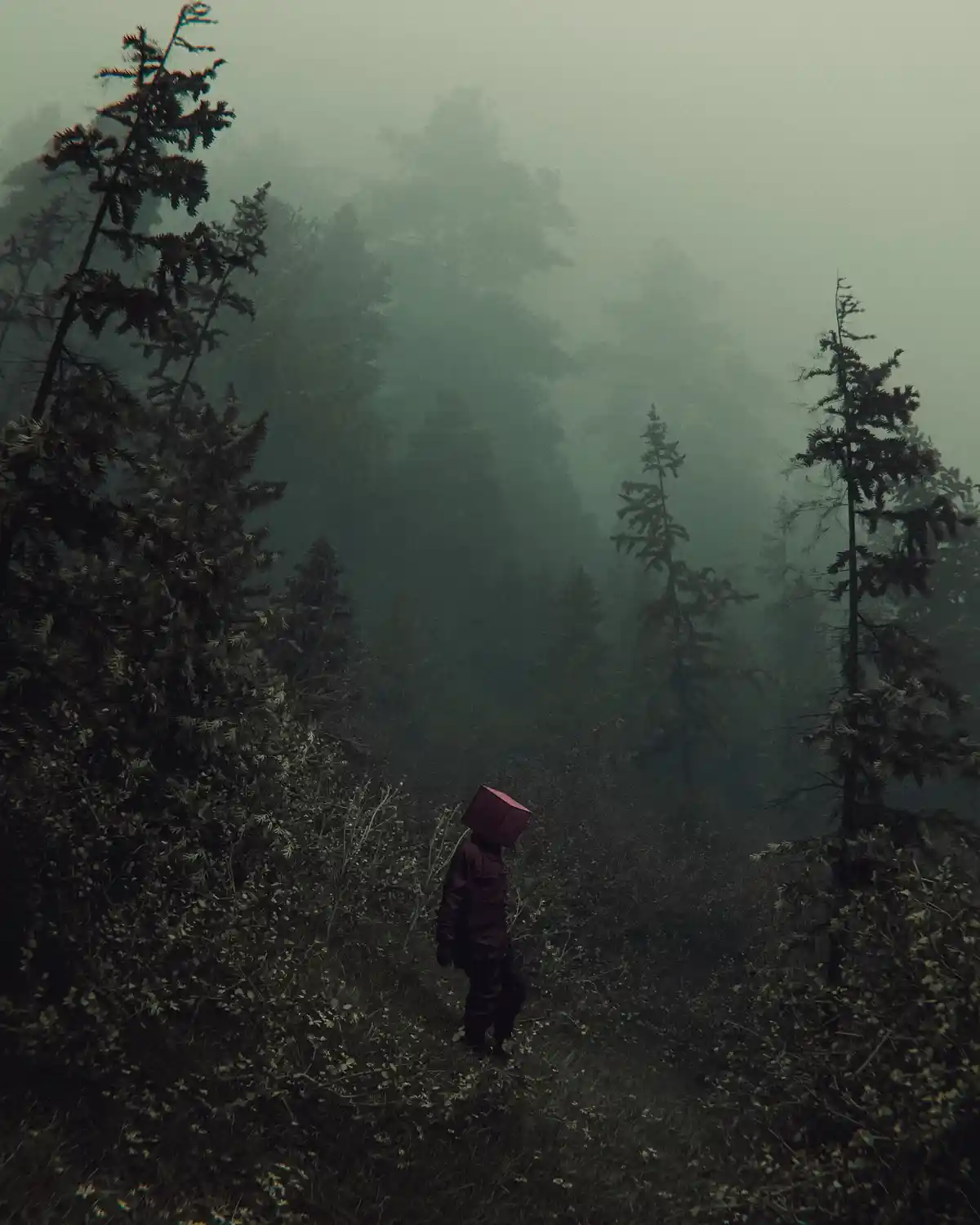 A person in a dark forest wearing a bright pink box on their head, standing in a foggy, eerie environment with tall pine…