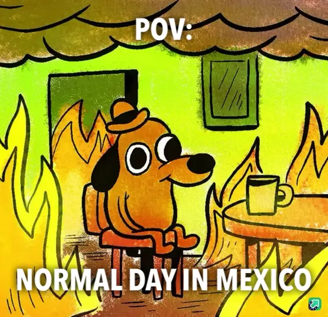 A cartoon dog wearing a hat sits calmly at a table with a mug, surrounded by flames in a green-walled room. The text reads…