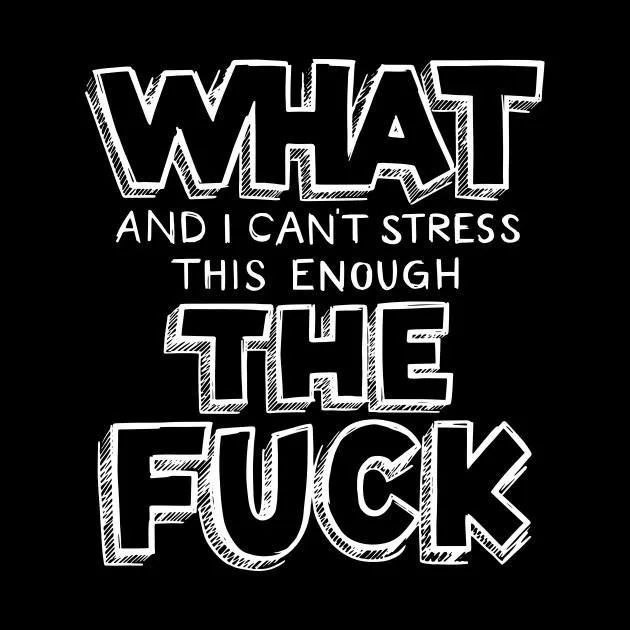 A black background with bold, white, hand-drawn style text that reads 'WHAT AND I CAN'T STRESS THIS ENOUGH THE FUCK'. The…