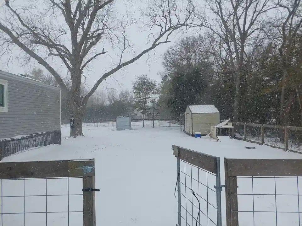 A snowy backyard scene viewed through a gate, featuring bare trees, a mobile home, and sheds covered in snow, with the text…