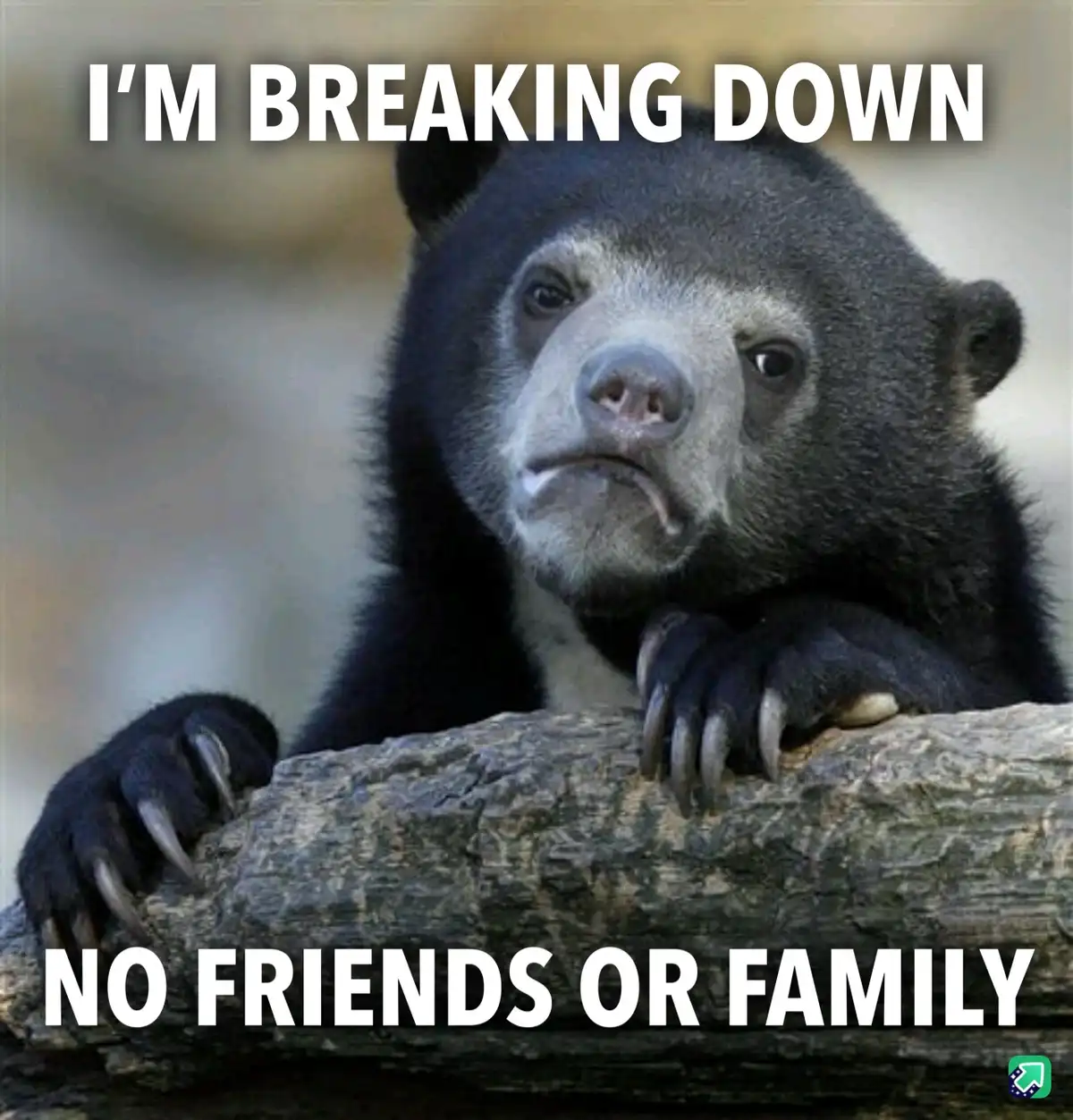 A close-up photo of a sad-looking spectacled bear resting its paws on a log, with white bold text overlaid at the top…