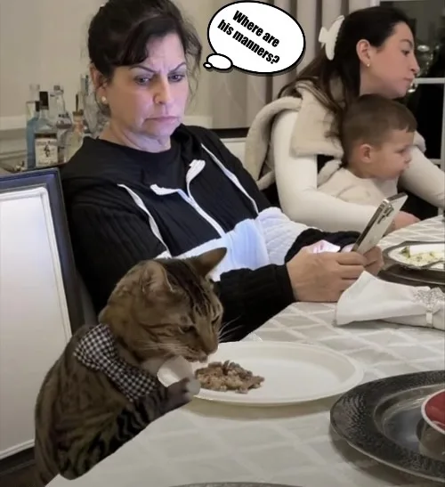 A tabby cat wearing a checkered bowtie is eating food off a white plate at a dining table. Behind the cat, a woman with a…
