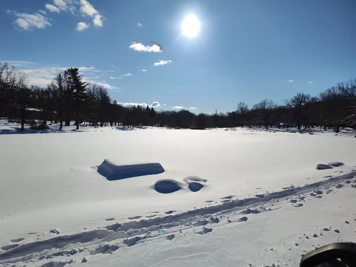 A wide snowy landscape under a bright sun with a single seagull flying overhead. Snow-covered objects and footprints are…