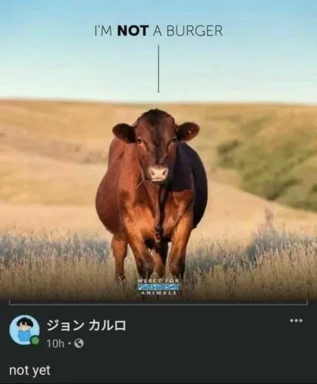 A brown cow stands in a grassy field under a clear sky, looking directly at the camera. The text 'I'M NOT A BURGER' is…