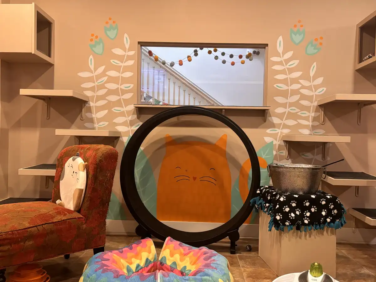 Adorable Moments from the Cat Cafe!