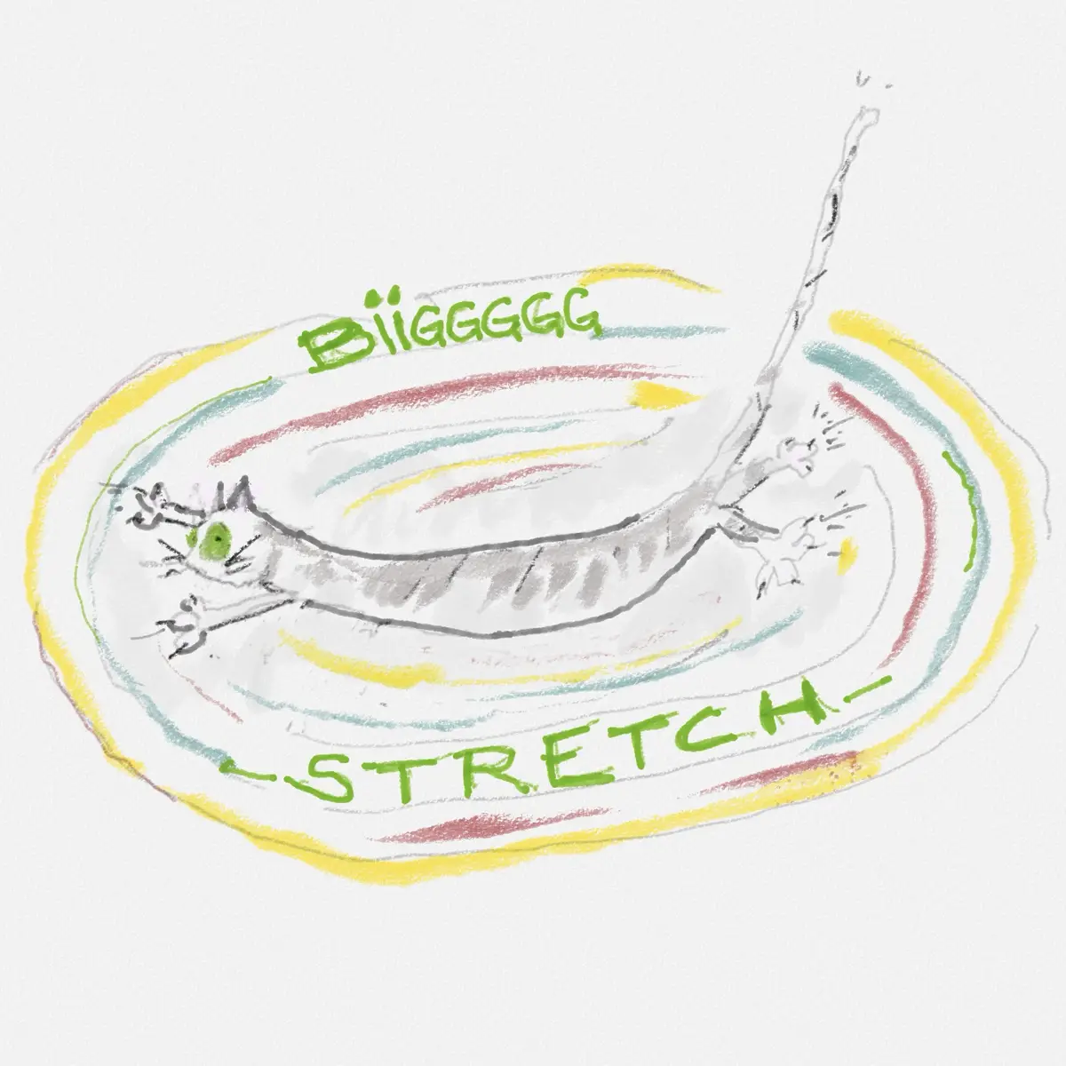 The Ultimate Stretch: Reaching New Heights