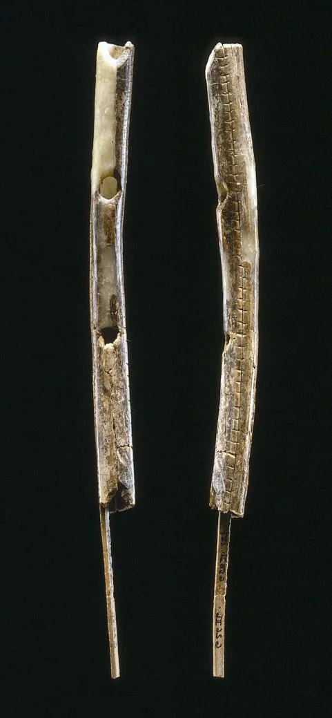 two ancient bone flutes are displayed vertically against a black background, one showing a carved hole and the other showing…