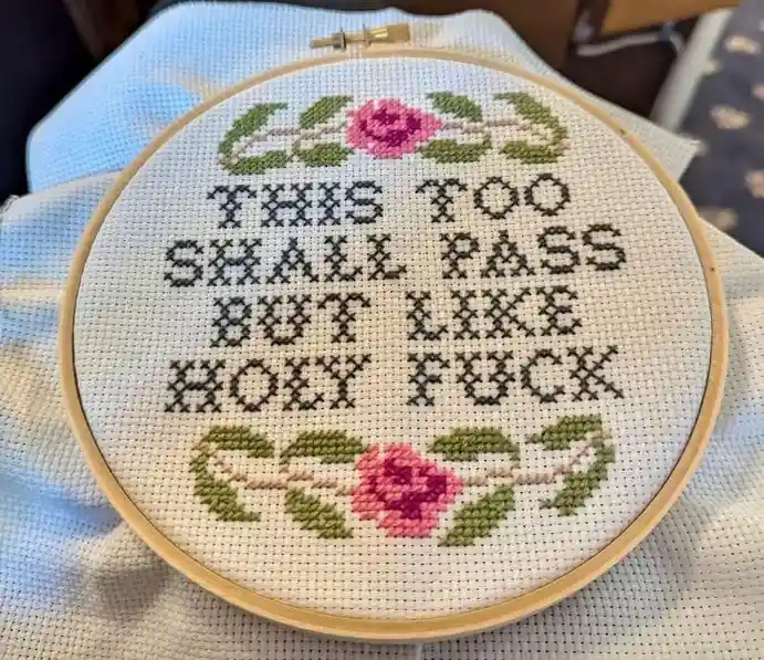 A close-up of a cross-stitch embroidery in a wooden hoop, featuring the text 'THIS TOO SHALL PASS BUT LIKE HOLY FUCK'…