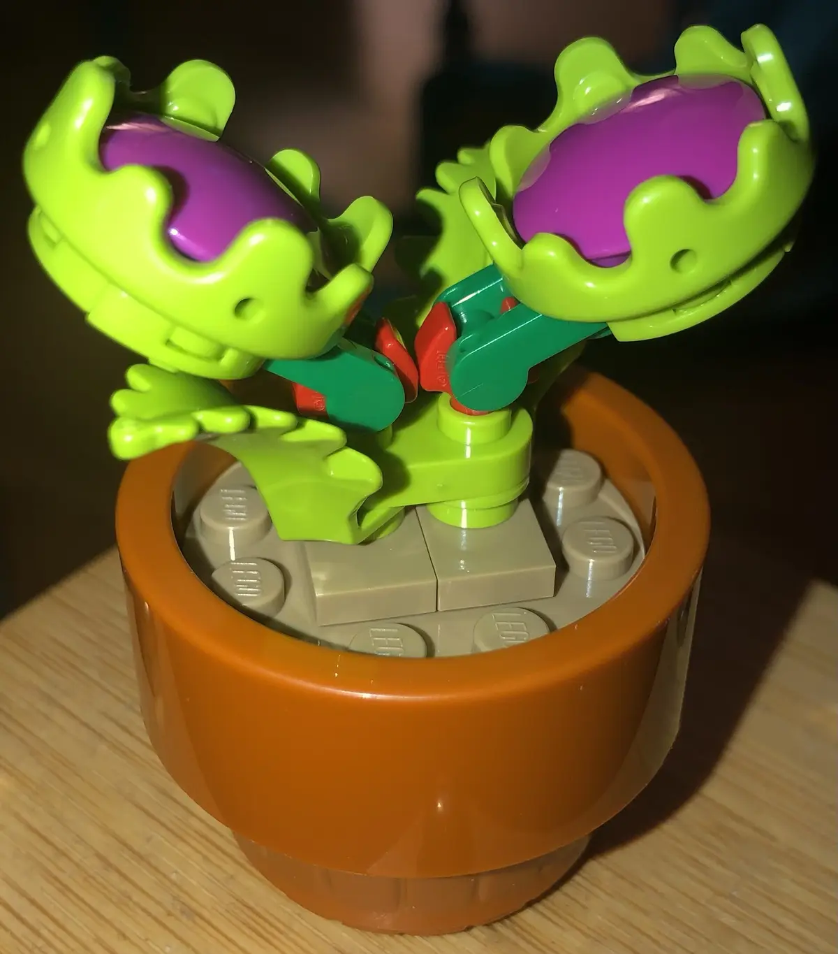 A close-up photo of a LEGO model of a Venus flytrap plant, constructed with bright green and purple pieces, sitting in an…