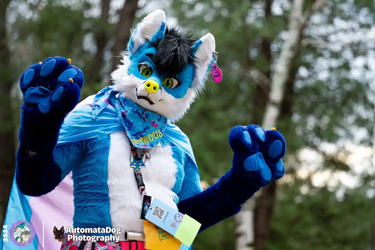 A person in a blue and white fursuit with green eyes and black hair, wearing a bandana and a cape, poses with both paws…