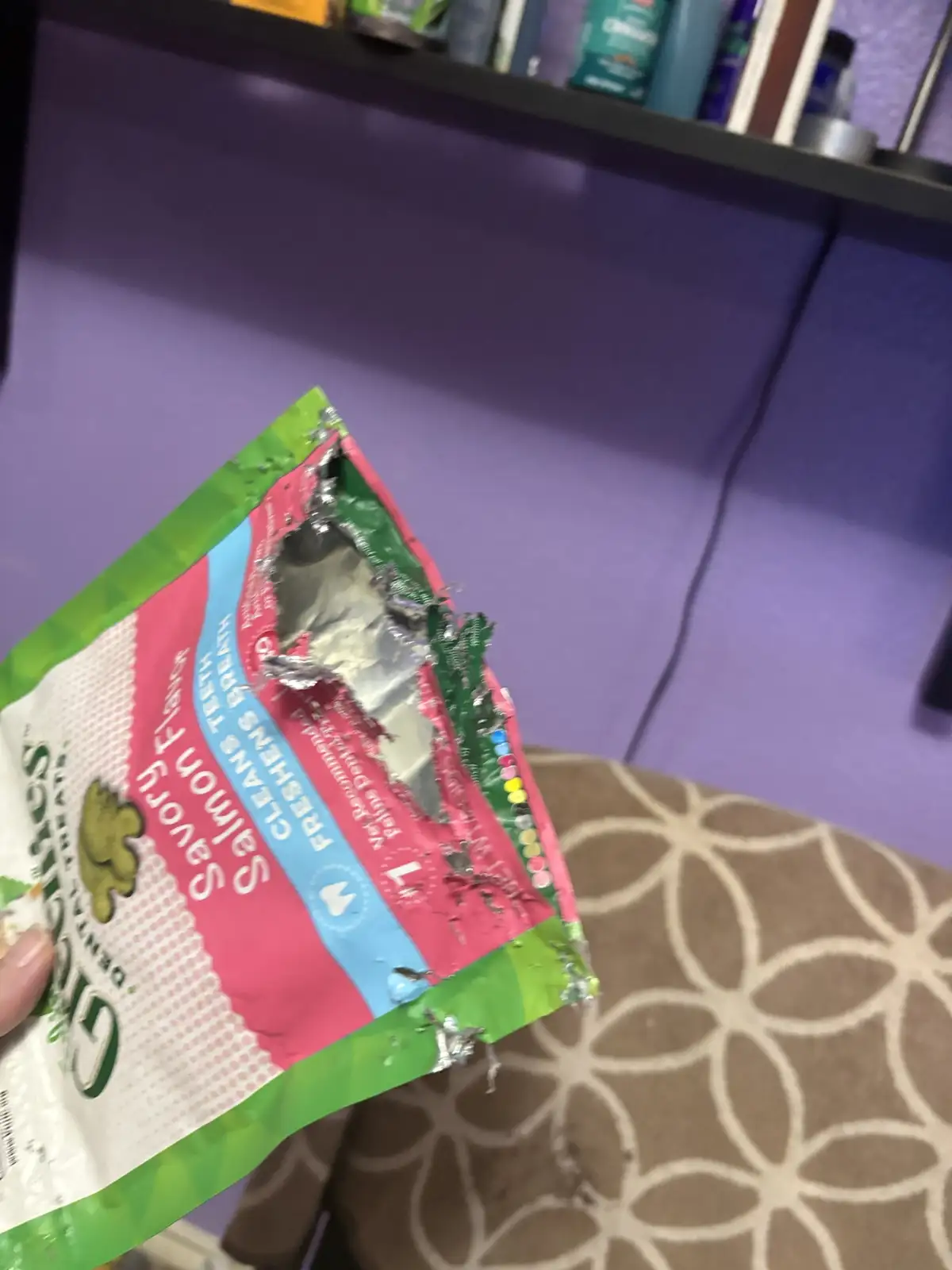 A hand holds a torn, crumpled bag of Greenies Dental Treats in Salmon Flavor, with a large ragged hole in the foil…