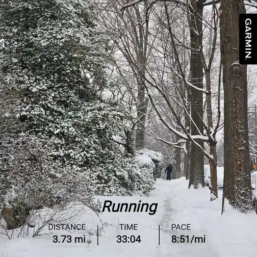 A snowy outdoor path lined with snow-covered trees and bushes, with a person in dark clothing walking in the distance…